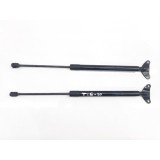 Par Amortecedor Tampa Traseira Tiguan 2010 