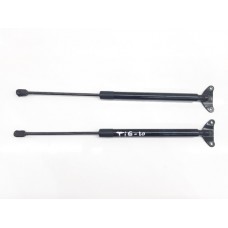 Par Amortecedor Tampa Traseira Tiguan 2010 