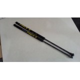 Amortecedor Tampa Traseira March 1.6 2013