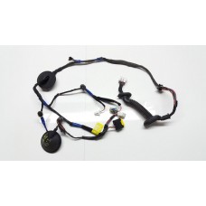 Chicote Porta Traseira Direita Santa Fé 