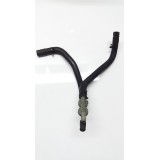 Mangueira Respiro Vera Cruz  2010