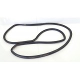 Borracha Porta Traseira  Esquerda Jeep Compass  2017