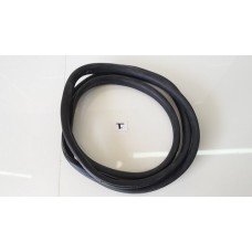 Borracha Porta Traseira Fox Extreme 1.6 2018