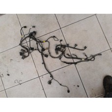 Chicote Motor Vera Cruz