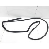 Borracha Fixa  Porta Traseira Esquerda   Freemont 2012