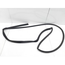 Borracha Fixa  Porta Traseira Esquerda   Freemont 2012