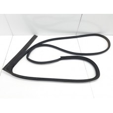 Borracha Fixa  Porta Traseira Direita    Freemont 2012