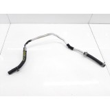 Cano Mangueira  Freemont 2012  11d68w