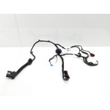  Chicote Porta Traseira Esquerda Range Rover Evoque 2017