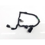 Chicote  Triton  2015 165a