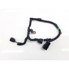 Chicote  Triton  2015 165a