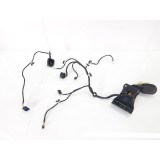 Chicote Porta Traseira Esquerda  Jeep  Compass 2018 