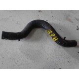 Mangueira Azera 2012