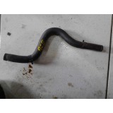 Mangueira Azera 2012