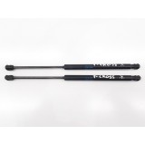 Par Amortecedor Tampa Traseira Volkswagen T-cross 2020 