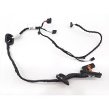 Chicote Porta Traseira Esquerda Volkswagen T-cross 2020