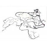 Chicote Kia Cadenza 2012 