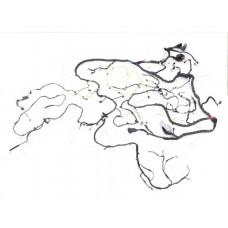 Chicote Kia Cadenza 2012 