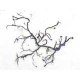 Chicote Painel Kia Cadenza 2012 