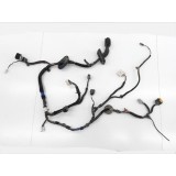 Chicote Porta Dianteira Esquerda Kia Cadenza 2012 