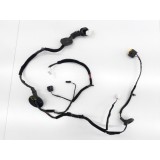 Chicote Porta Traseira Direita Kia Cadenza 2012 