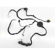 Chicote Porta Traseira Esquerda Kia Cadenza 2012 