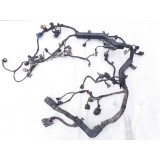 Chicote Motor Kia Cadenza 2012 