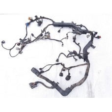 Chicote Motor Kia Cadenza 2012 