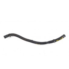 Mangueira  Sonata 2012 123ww