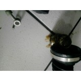 Trizeta Do Semi Eixo Do Nissan March 1.6