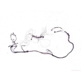 Chicote Teto Freelander 2009 Gasolina 