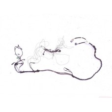 Chicote Teto Freelander 2009 Gasolina 