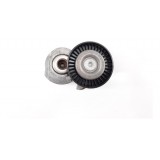 Tensor Esticador Correia  Freelander 2009 Gasolina 