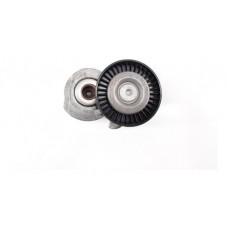 Tensor Esticador Correia  Freelander 2009 Gasolina 