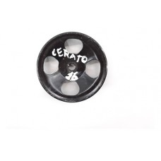 Polia Bomba Óleo Direção Hidráulica Kia Cerato 1.6 P19
