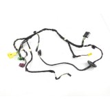 Chicote Porta Dianteira Direita  C200 Kompressor 