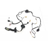 Chicote Porta Traseira Direita Audi Q5 2020 