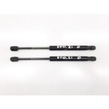 Par Amortecedor Capo Evoque 2.2 190 Cv 