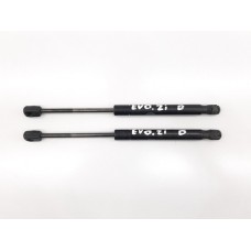 Par Amortecedor Capo Evoque 2.2 190 Cv 