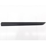 Friso Porta Dianteira Esquerda S10 Trailblazer 2019 