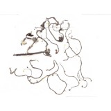 Chicote Ford Fusion 2.3 2009 W45e3