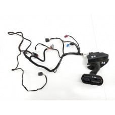 Chicote Porta Dianteira Esquerda Fiat Freemont 2.4 