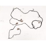 Chicote Fiat Toro 2020 6t5456