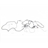 Chicote Chassis L200 Triton 13/13