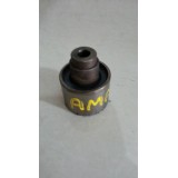 Rolamento Tensor Amarok