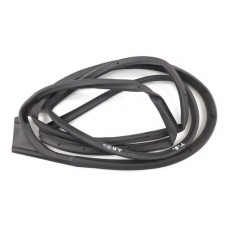 Borracha Fixa Porta Traseira Direita Fiat Argo