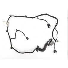 Chicote Porta Traseira Esquerda Chevrolet Spin