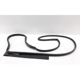 Borracha Fixa Porta Traseiro Direito Freemont 14