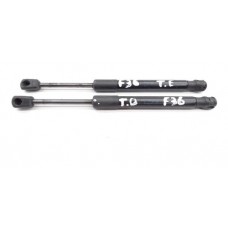 Par Amortecedor Tampa Traseira Ford Focus 2.0 5m51f406a10ac