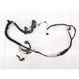 Chicote Porta Dianteira Direita Nissan Sentra 2015